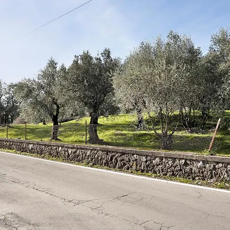 Casa Tra Gli Ulivi Vicino Al Mare Holiday home