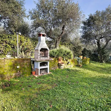 Casa Tra Gli Ulivi Vicino Al Mare Holiday home